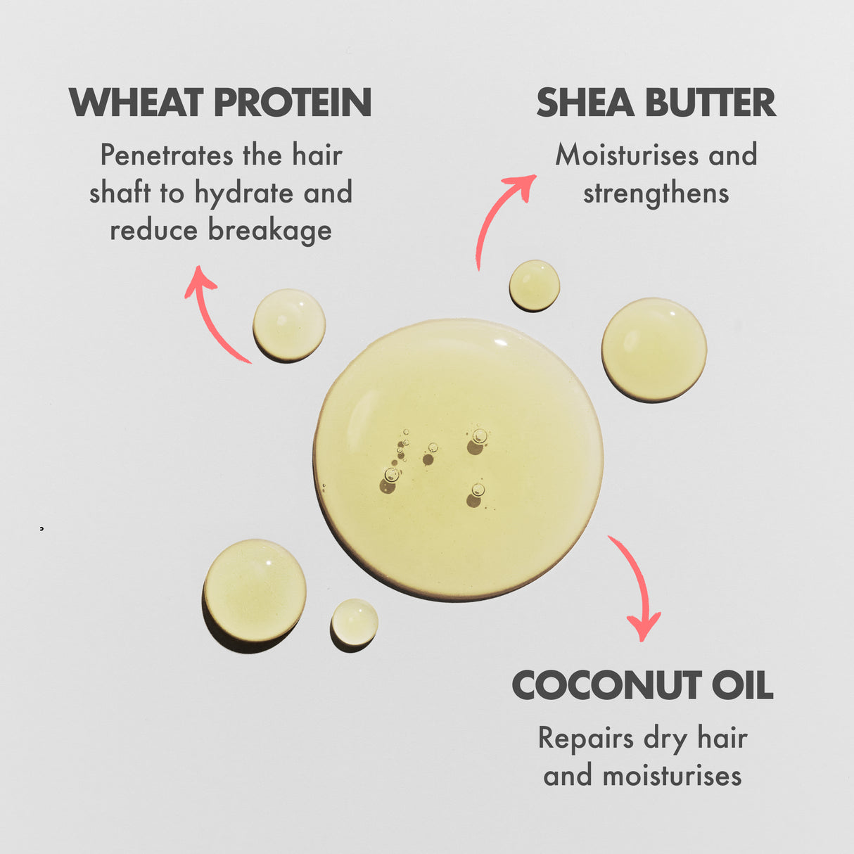 Rosemary Scalp and Hair Oil 50ml