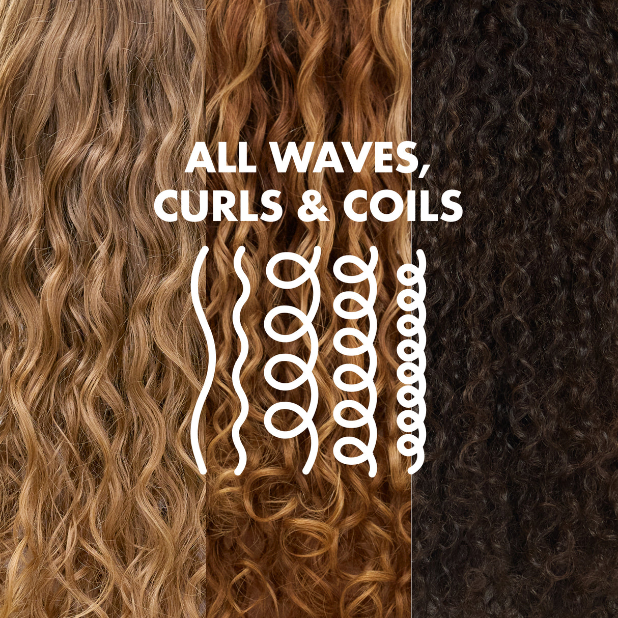 Curl Jelly Dream Duo