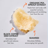 Grow Scrub Exfoliating Scalp Scrub 250g