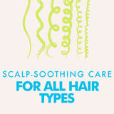 Scalp Spa Giftset