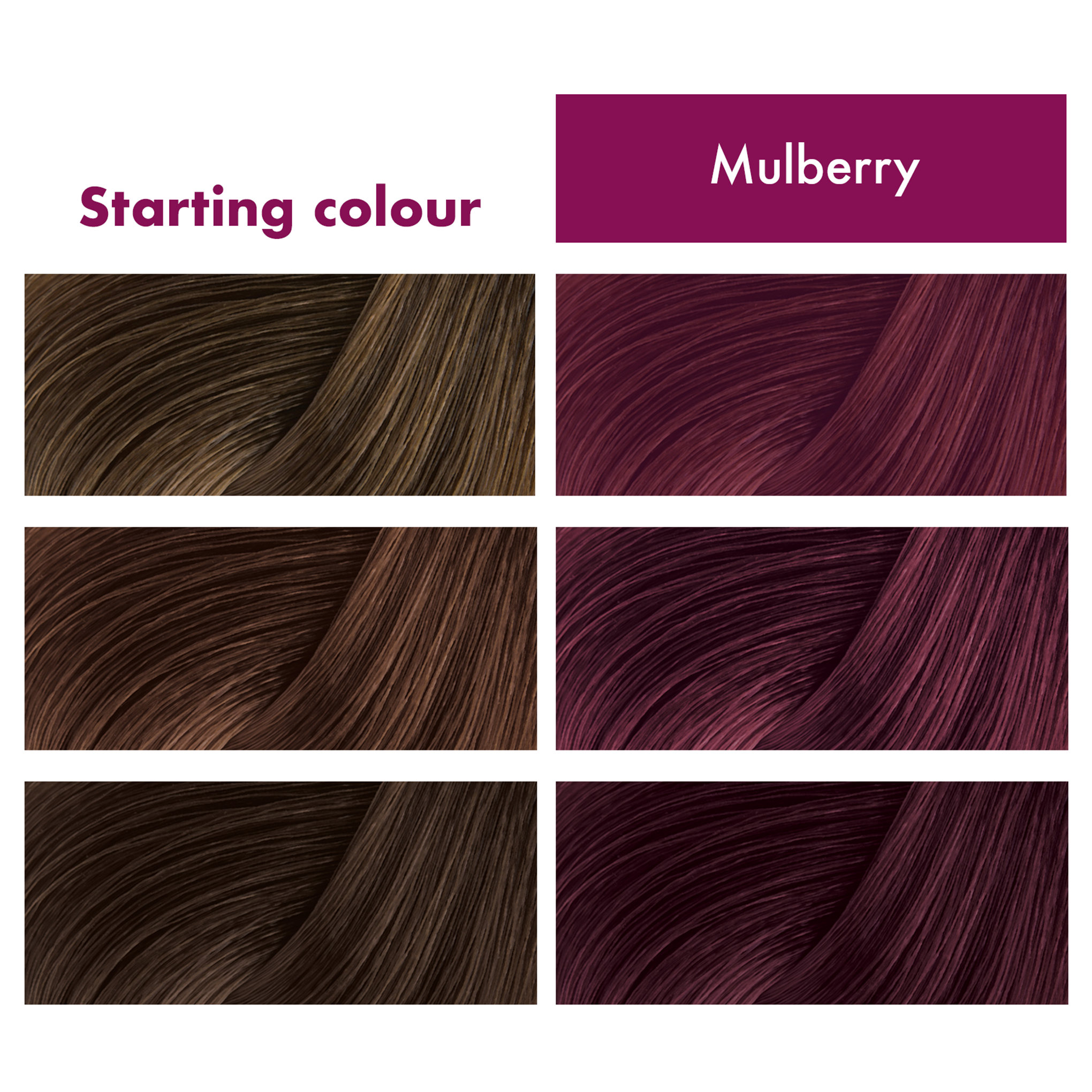 Flowerology Temporary Colour Mask - Mulberry